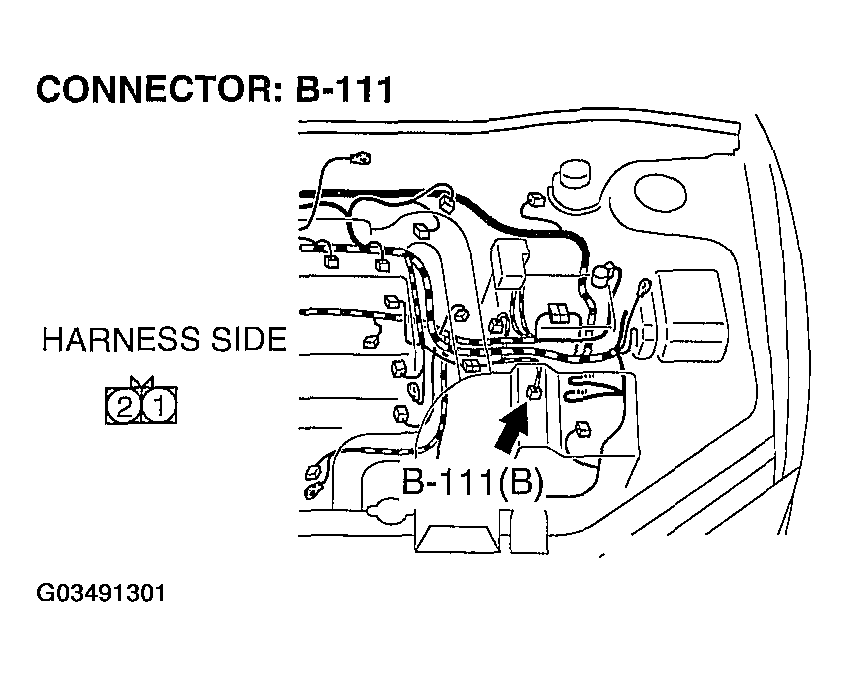 G03491301