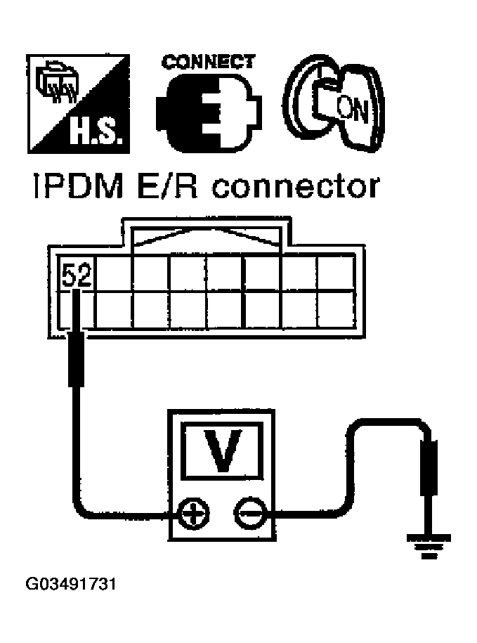 G03491731