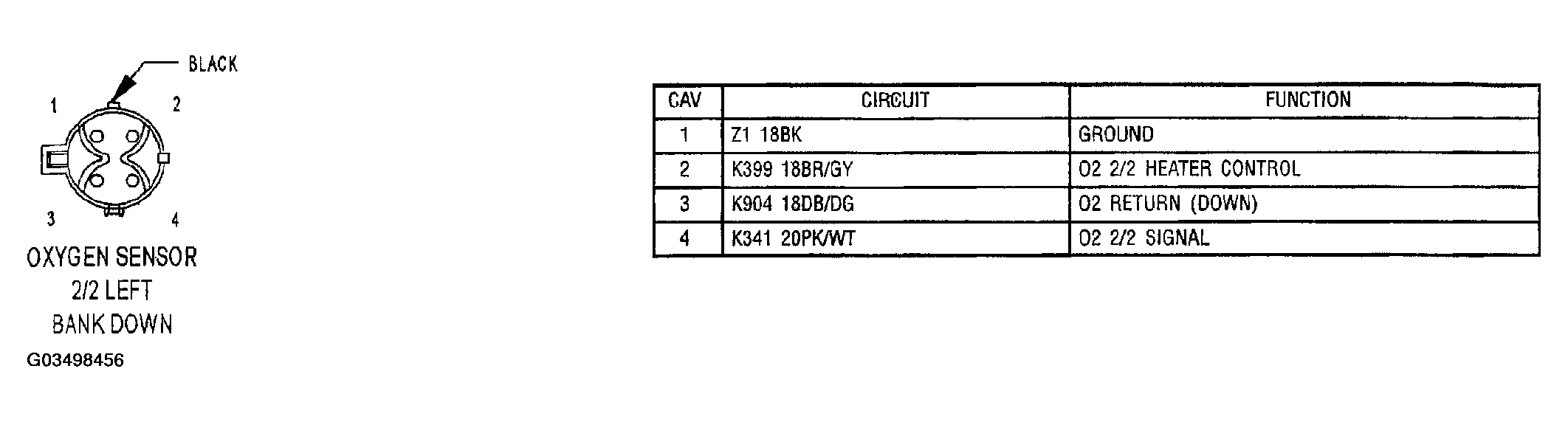G03498456
