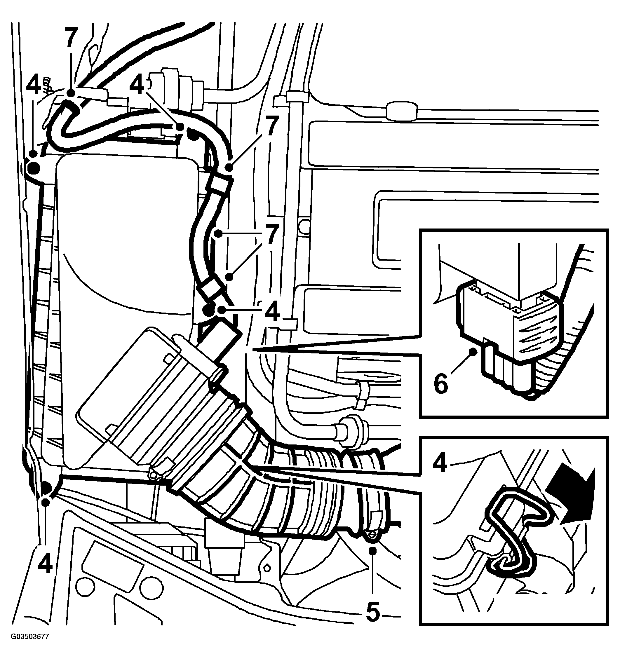 G03503677