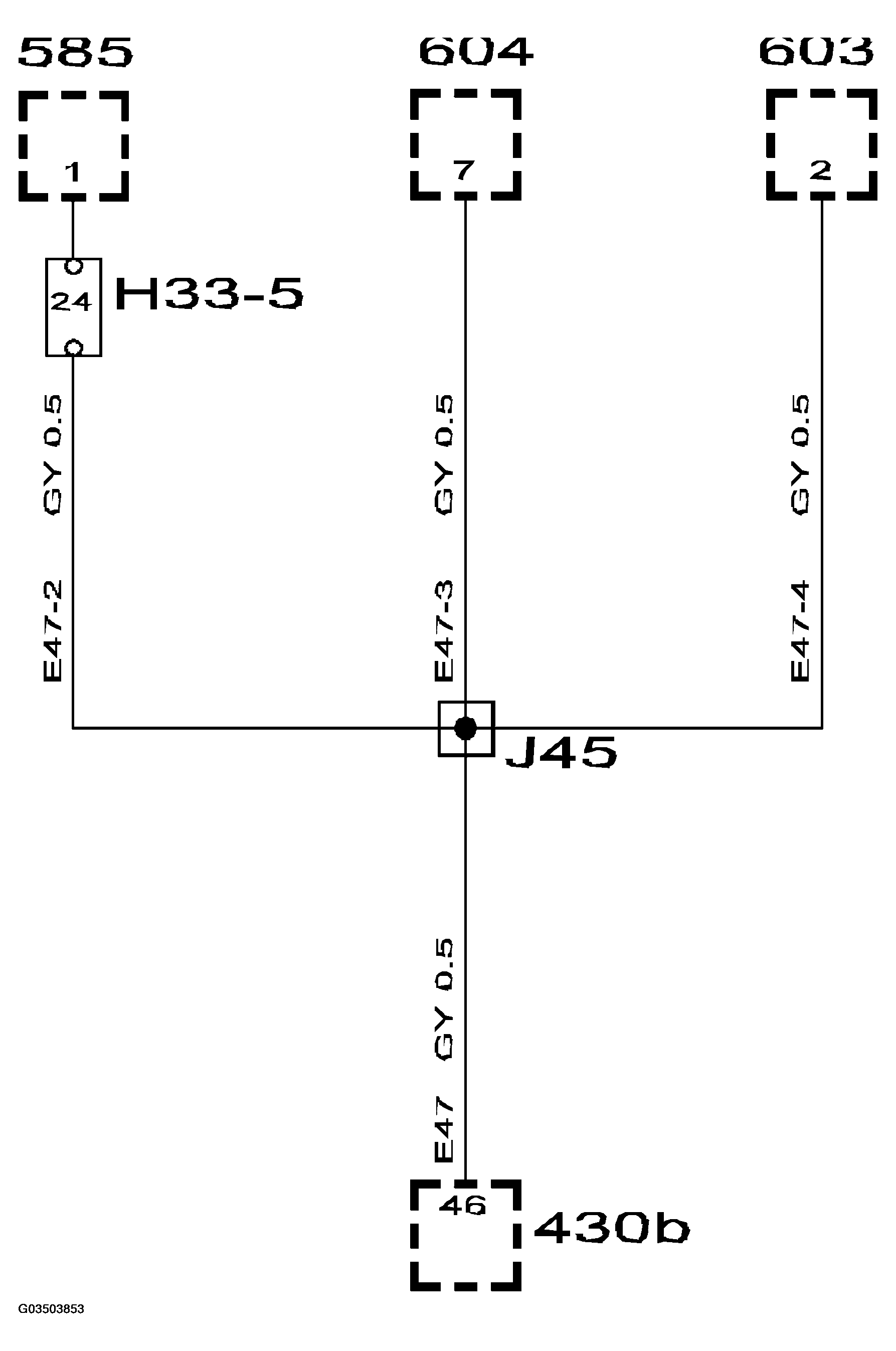 G03503853