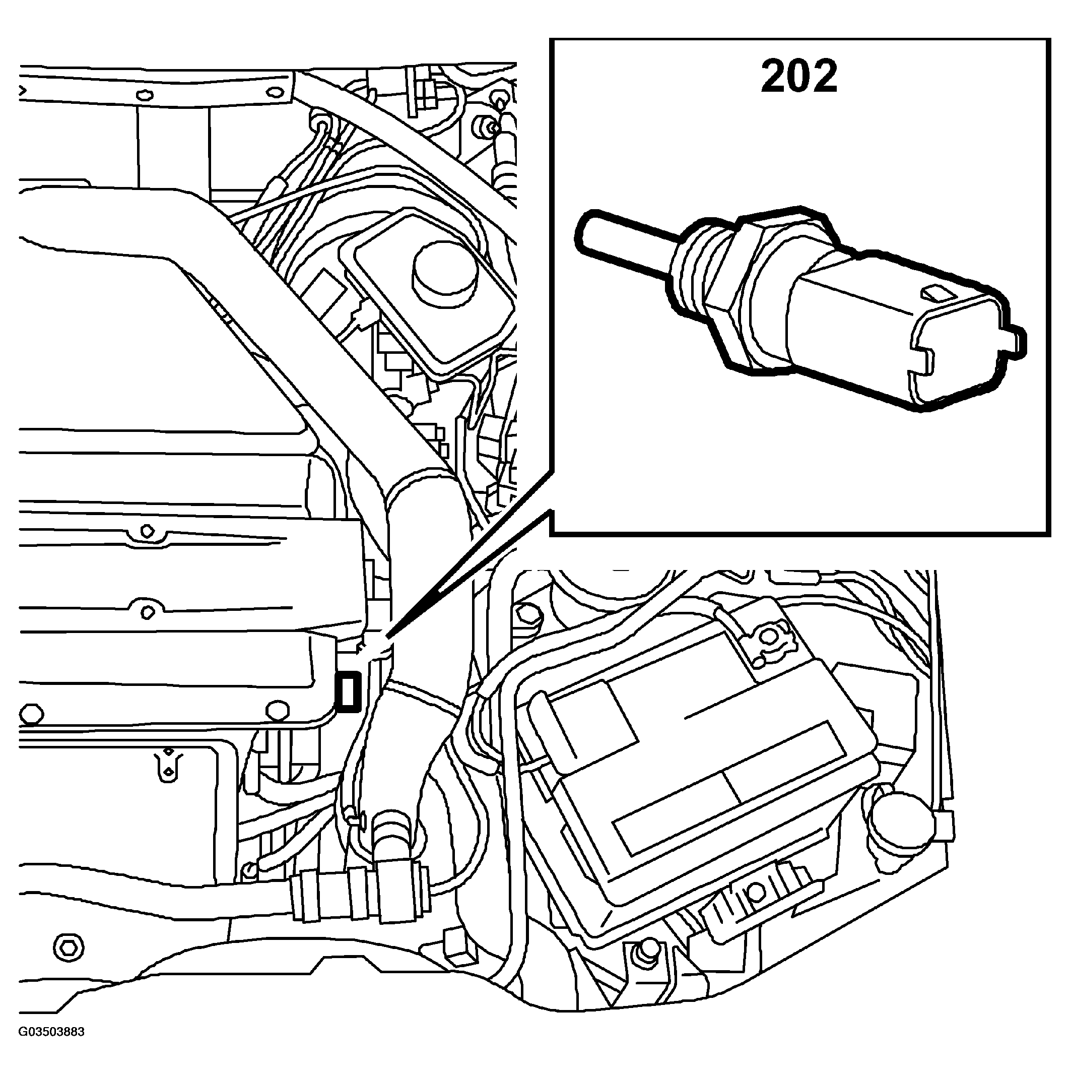 G03503883