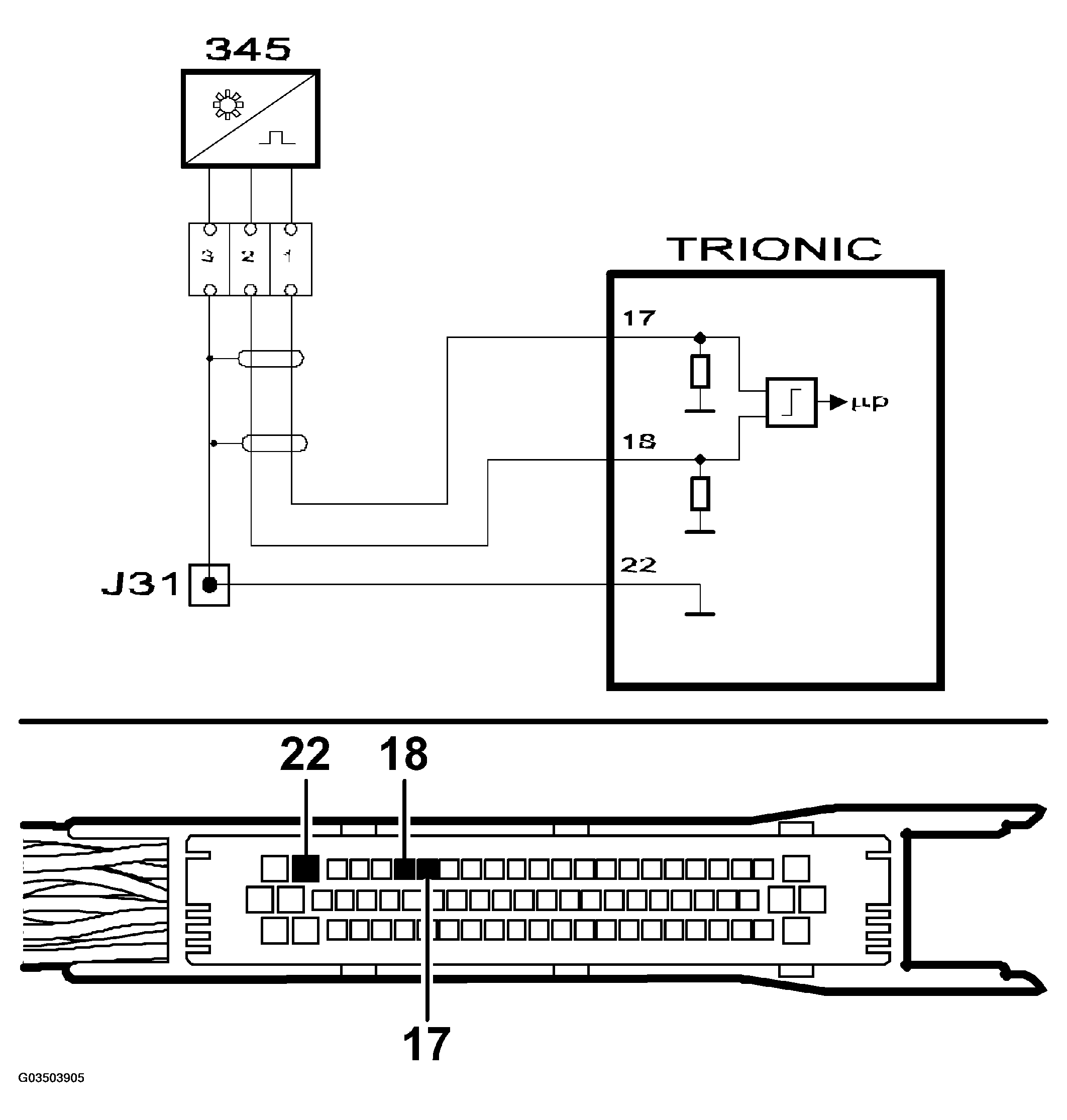 G03503905