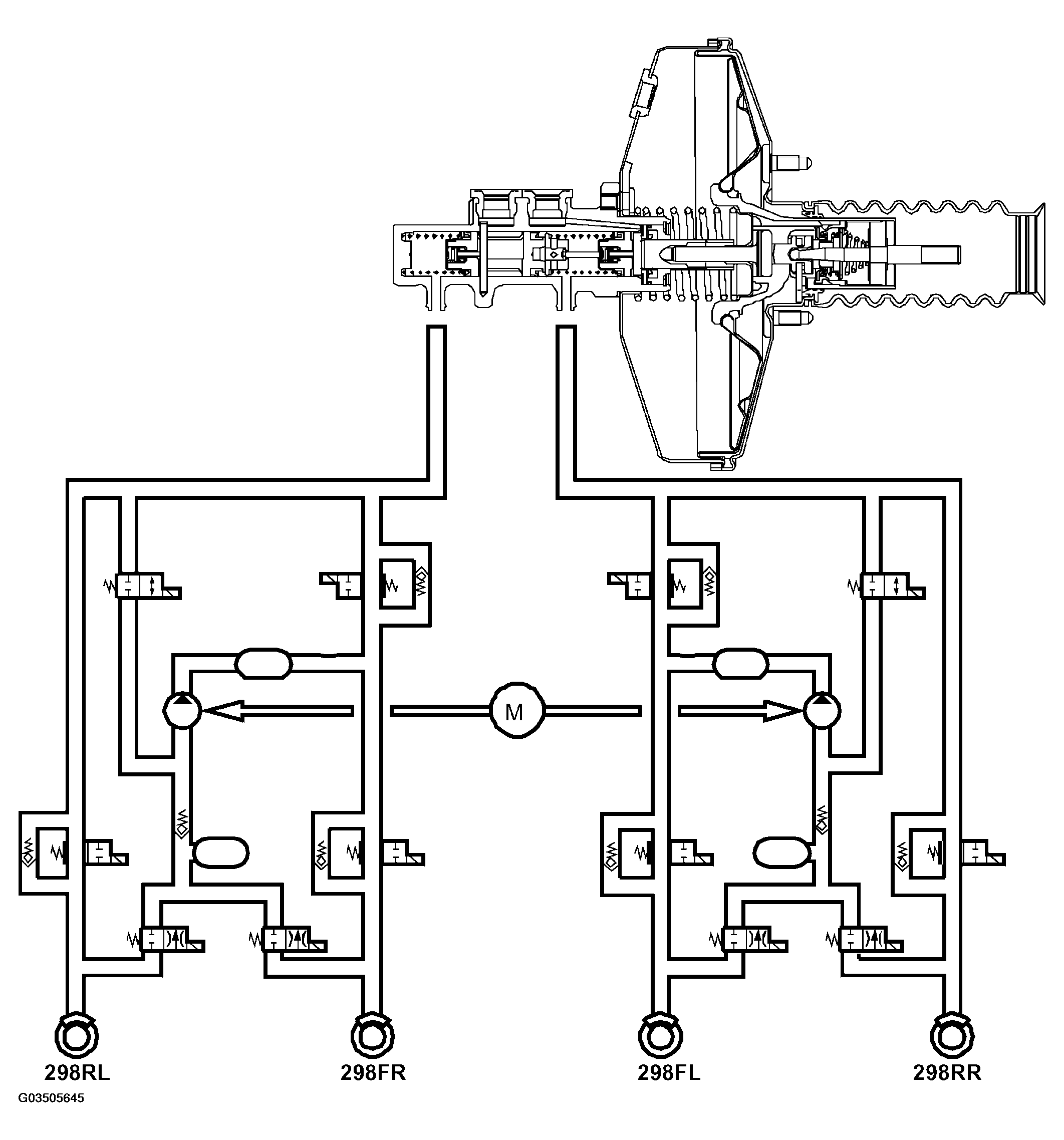 G03505645