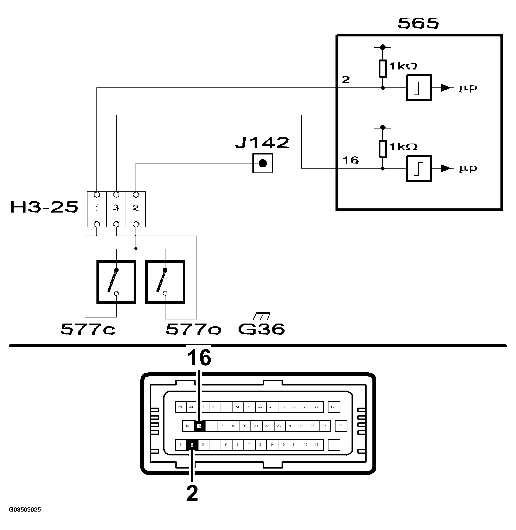 G03509025