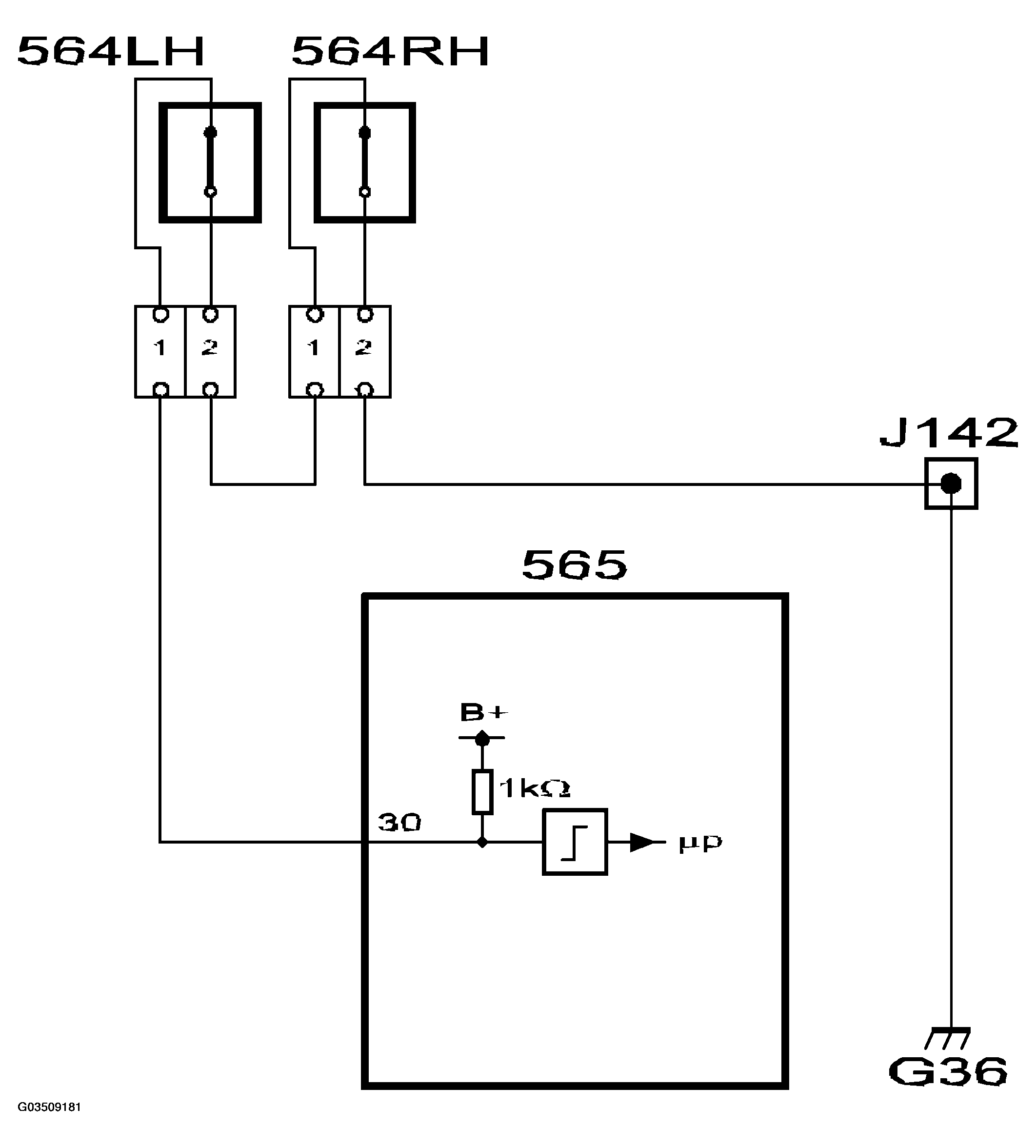 G03509181