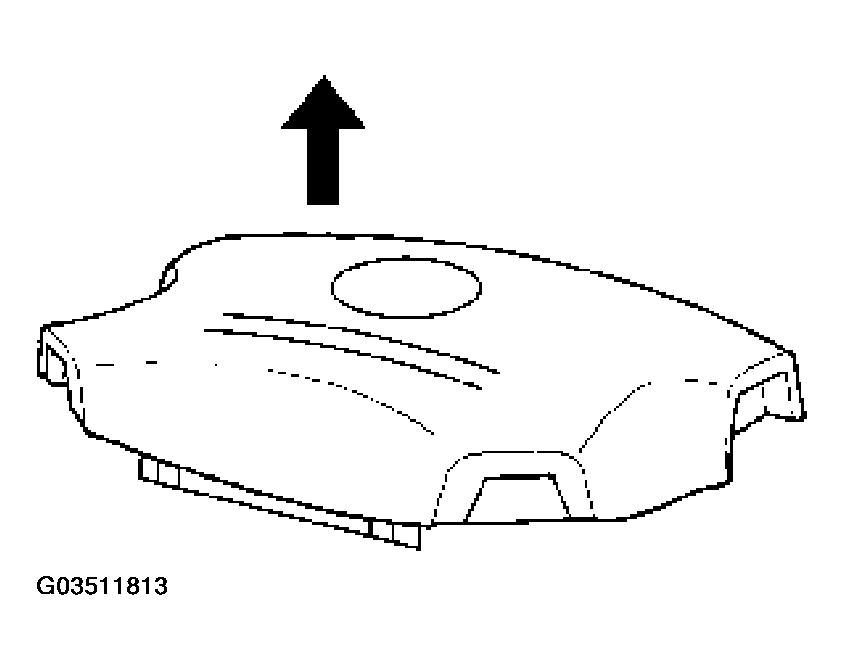 G03511813