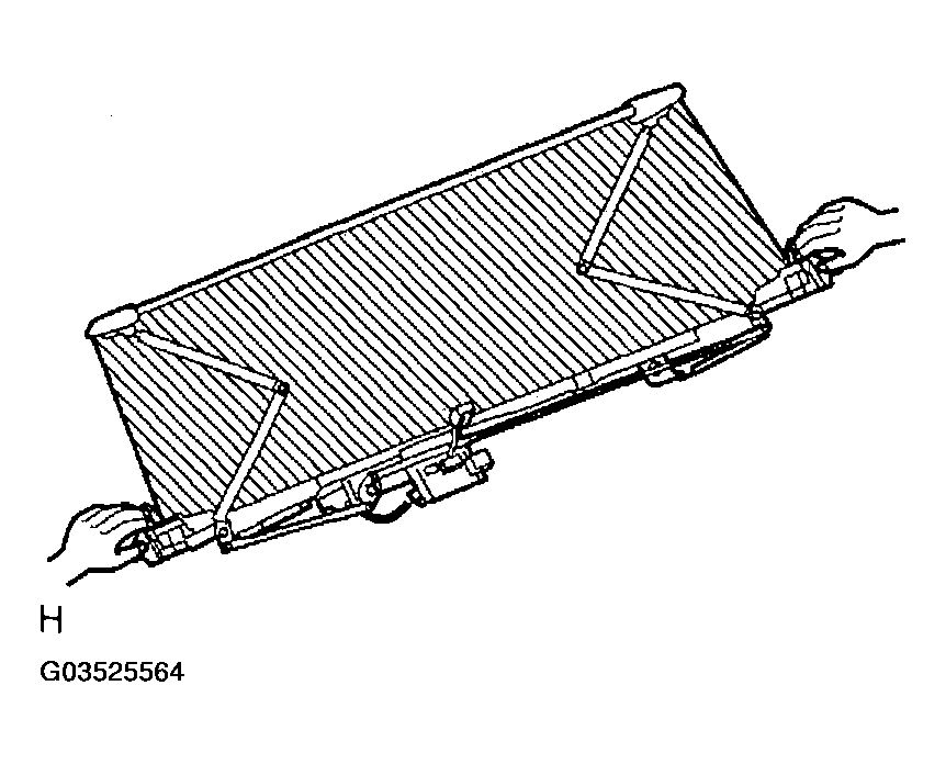 G03525564