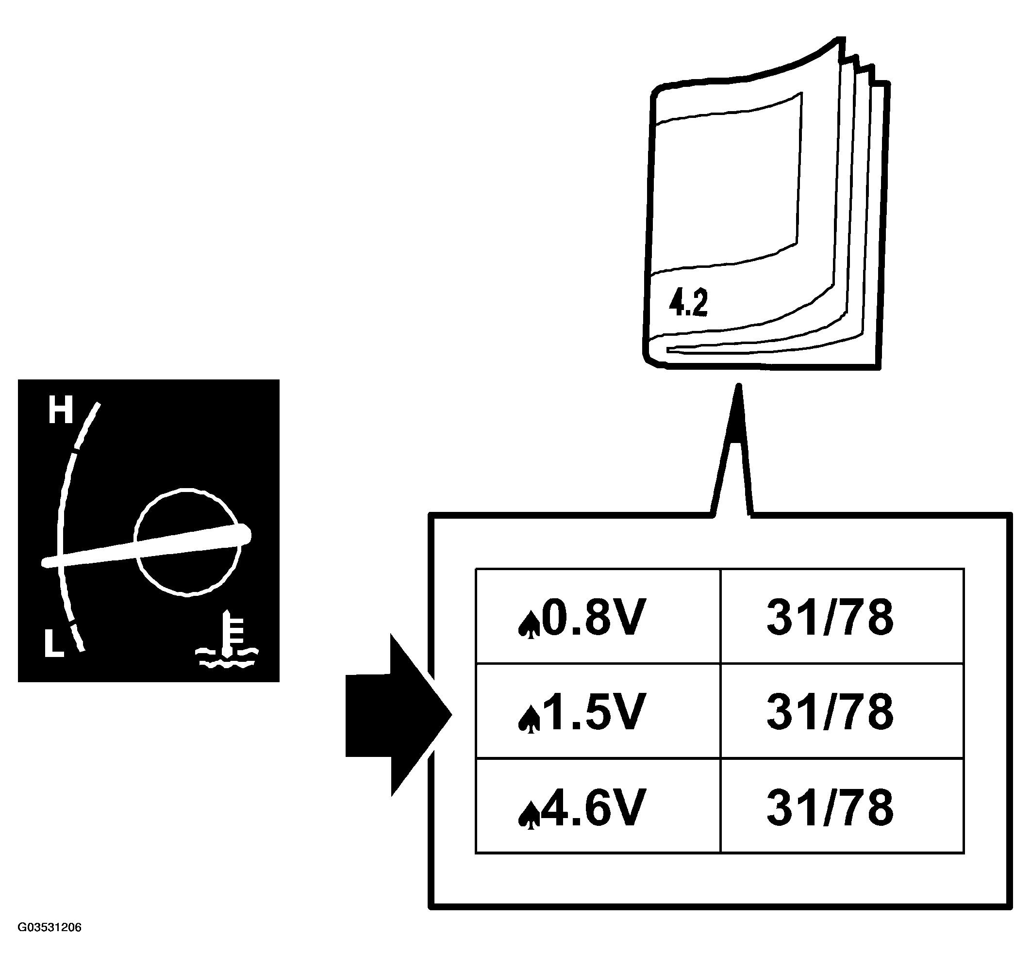 G03531206