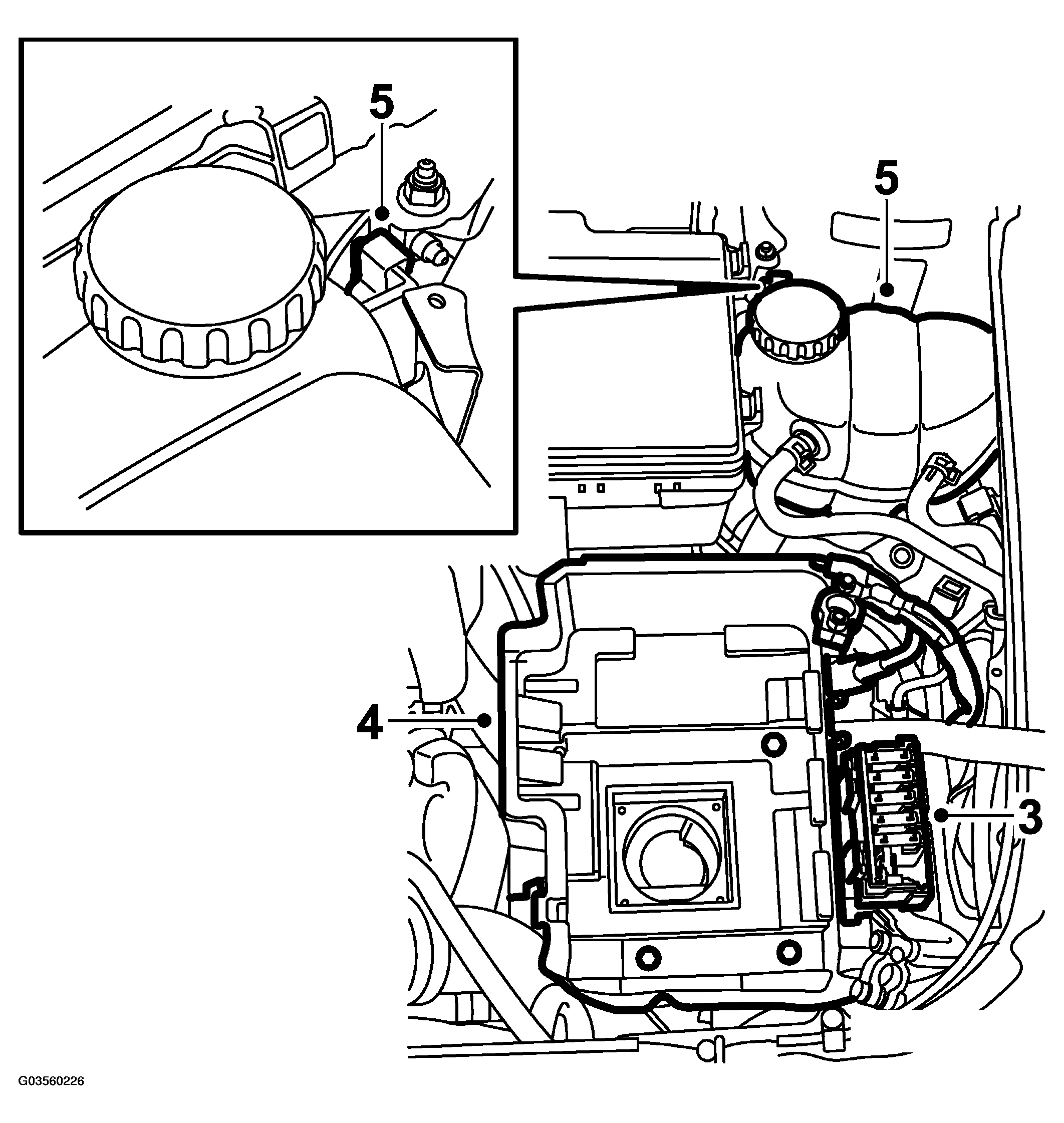 G03560226