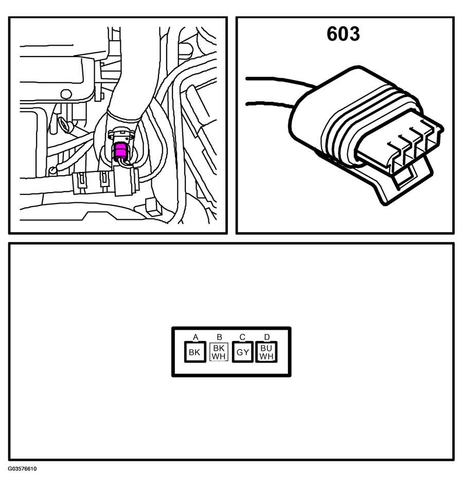 G03576610