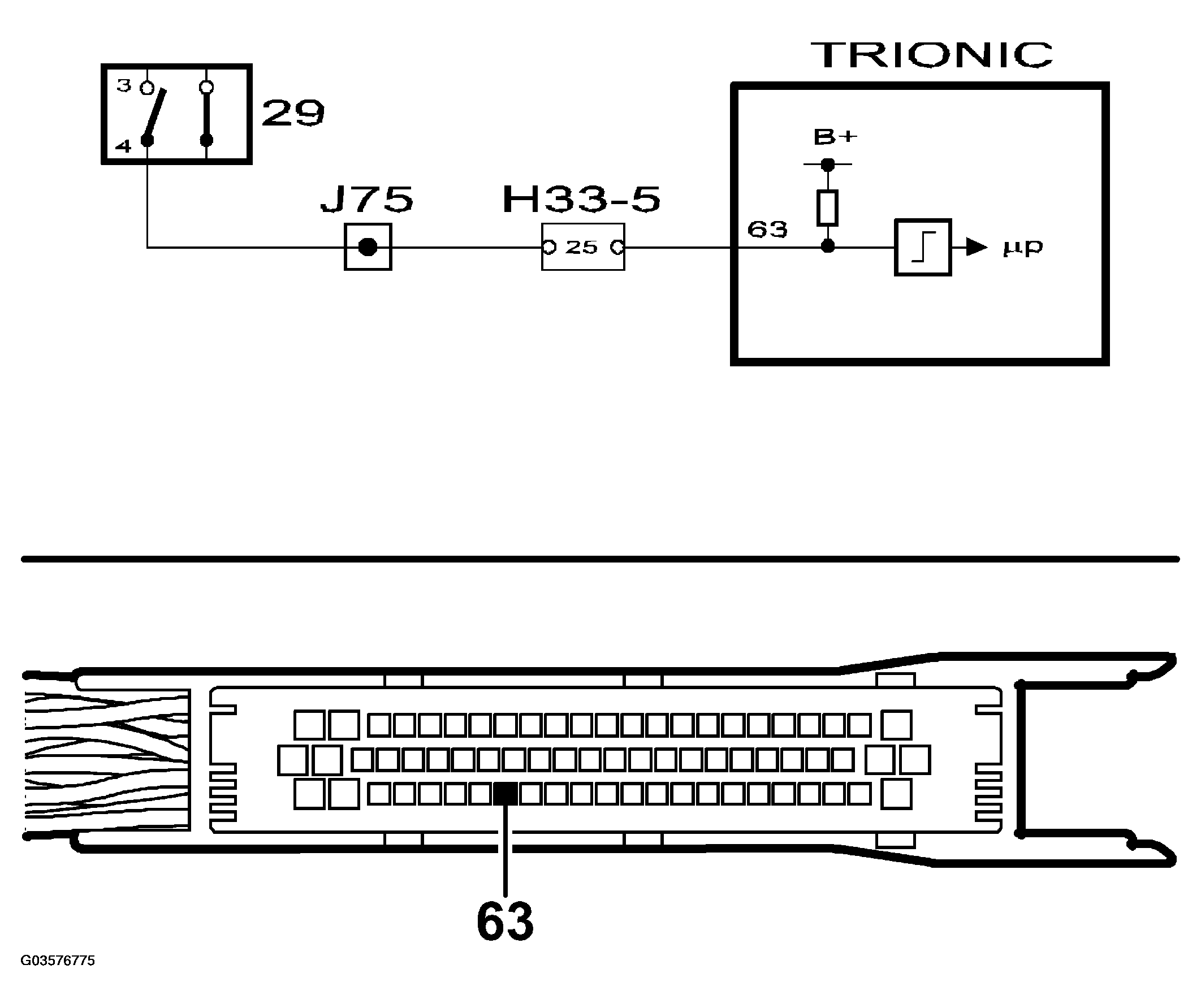 G03576775