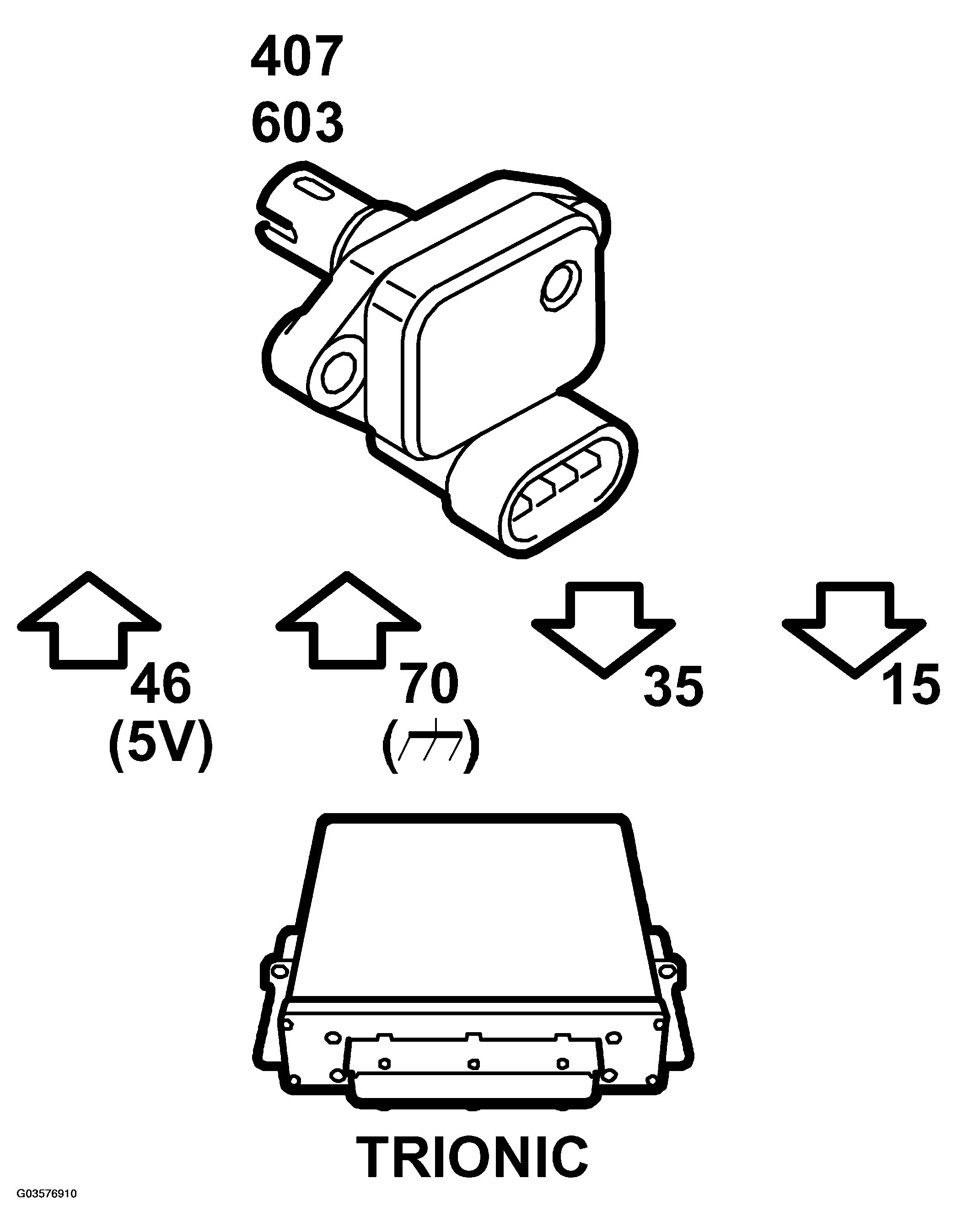 G03576910