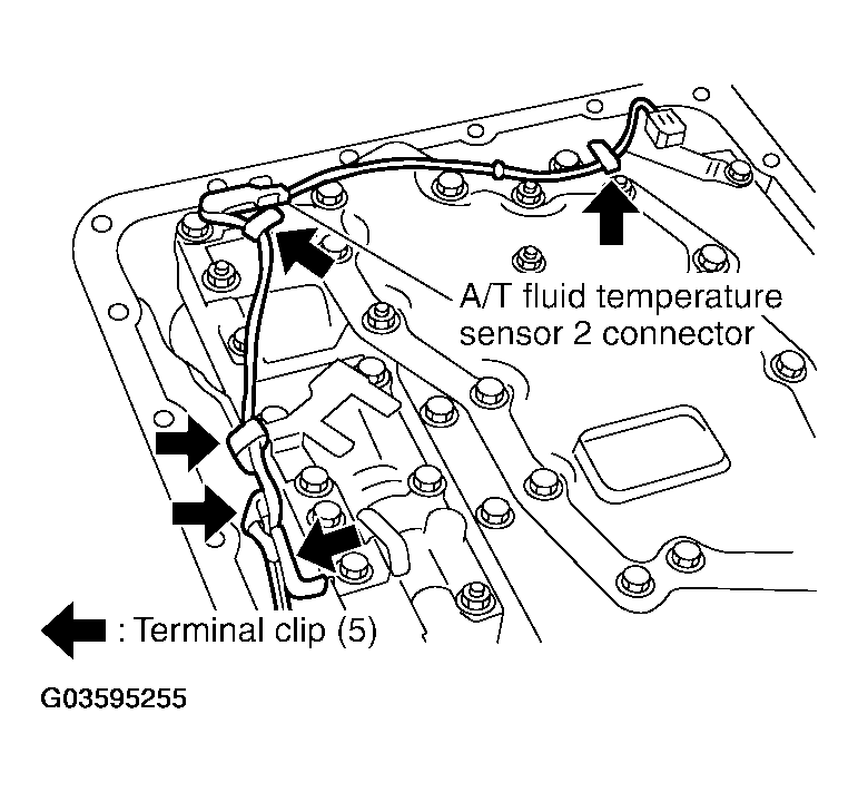G03595255