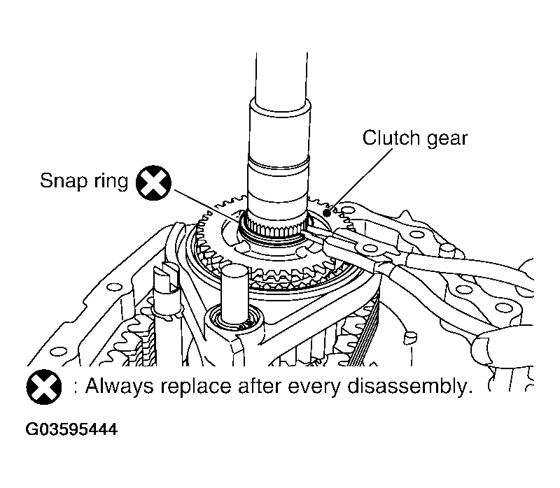 G03595444