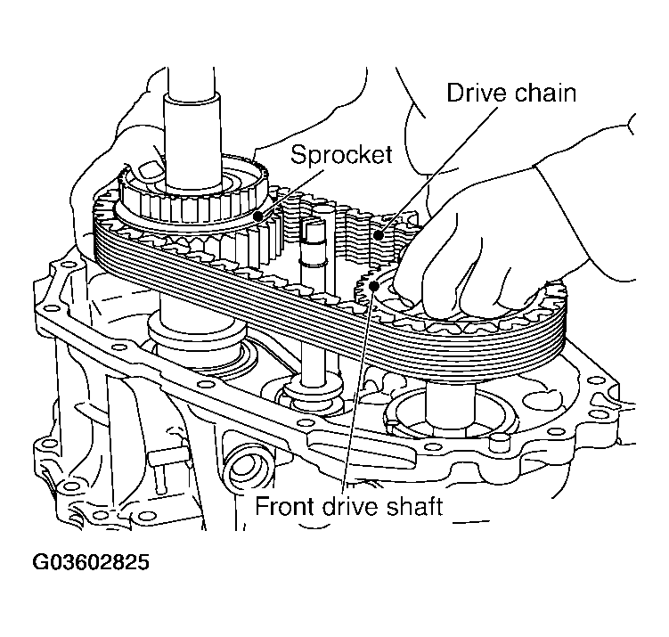 G03602825