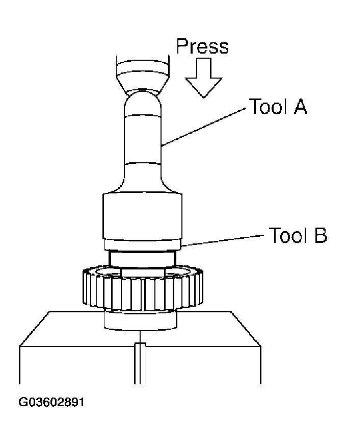 G03602891