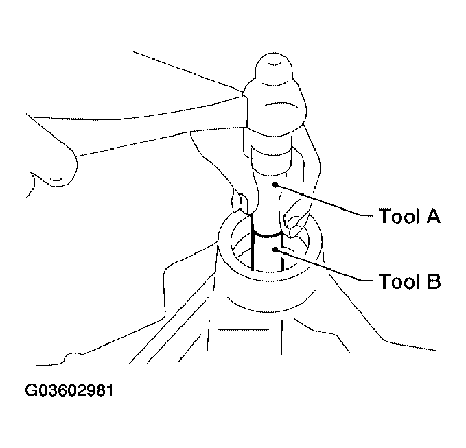 G03602981