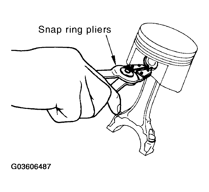 G03606487