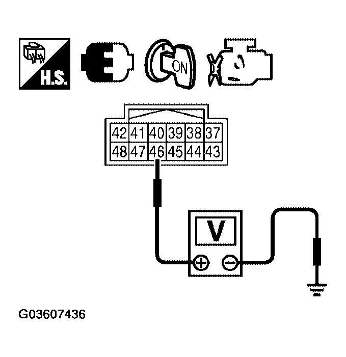 G03607436