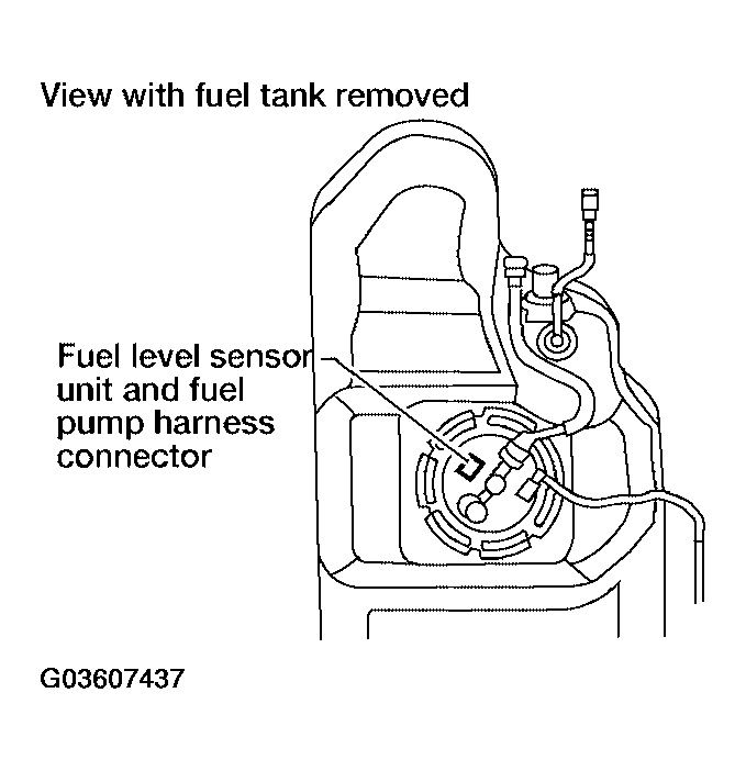 G03607437