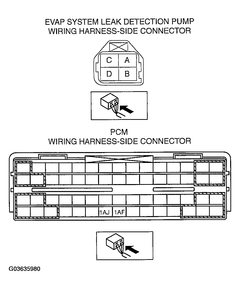 G03635980