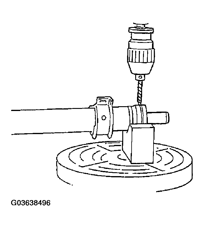 G03638496