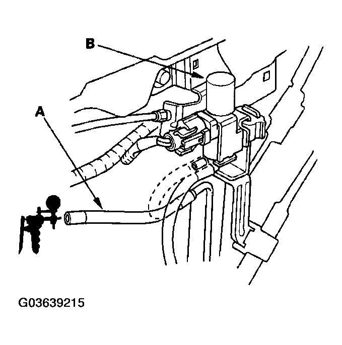 G03639215