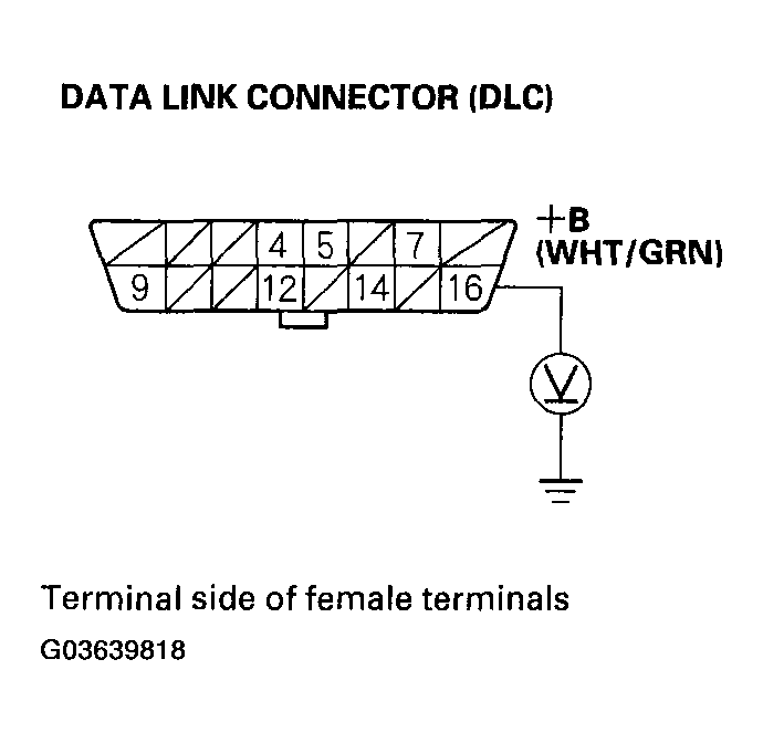 G03639818