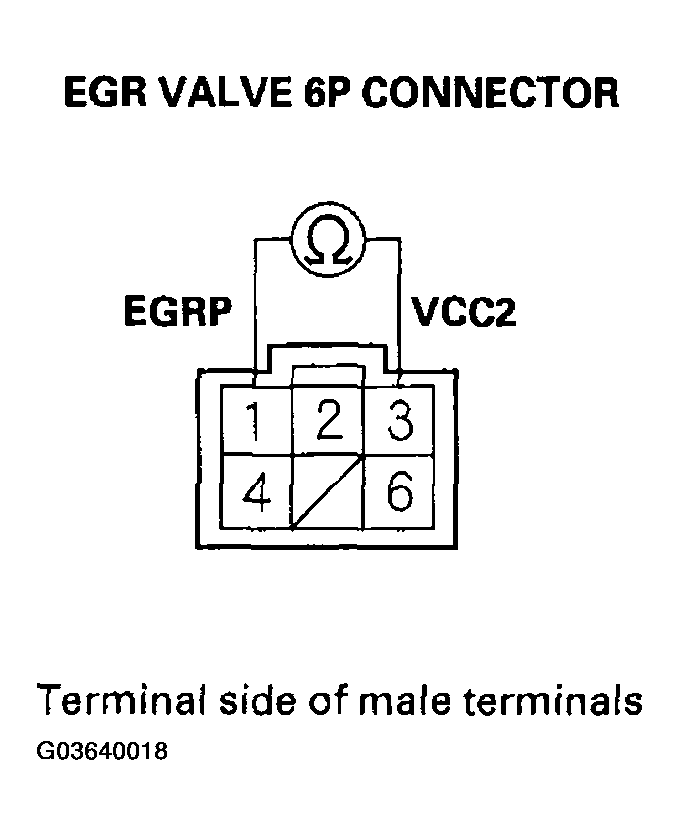 G03640018
