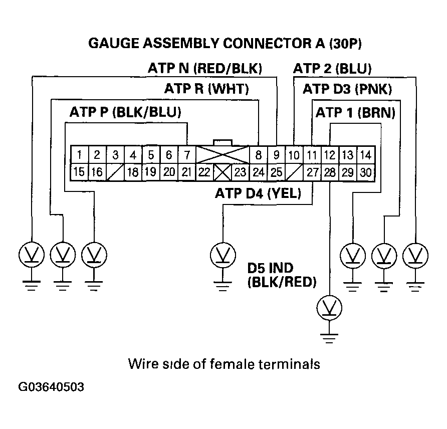 G03640503