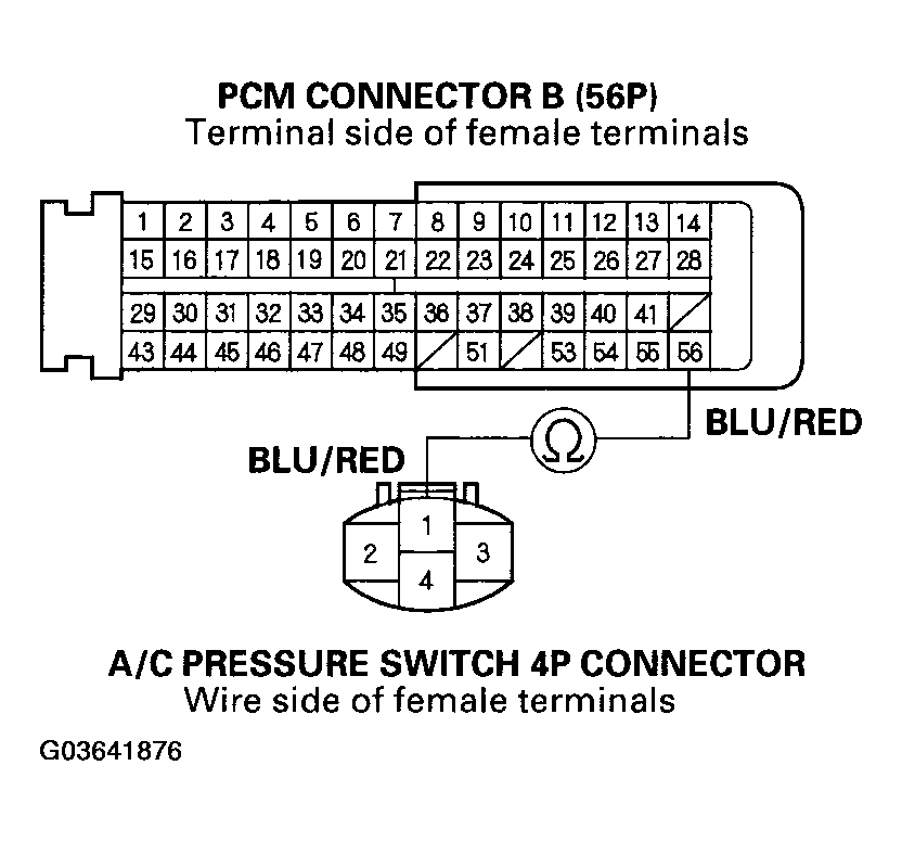 G03641876