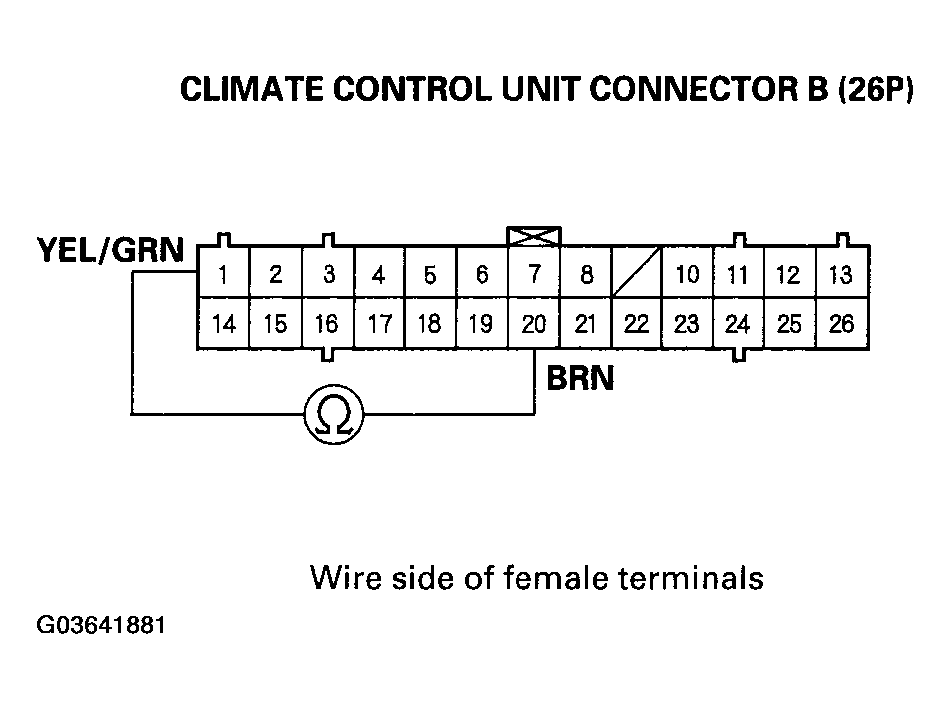 G03641881