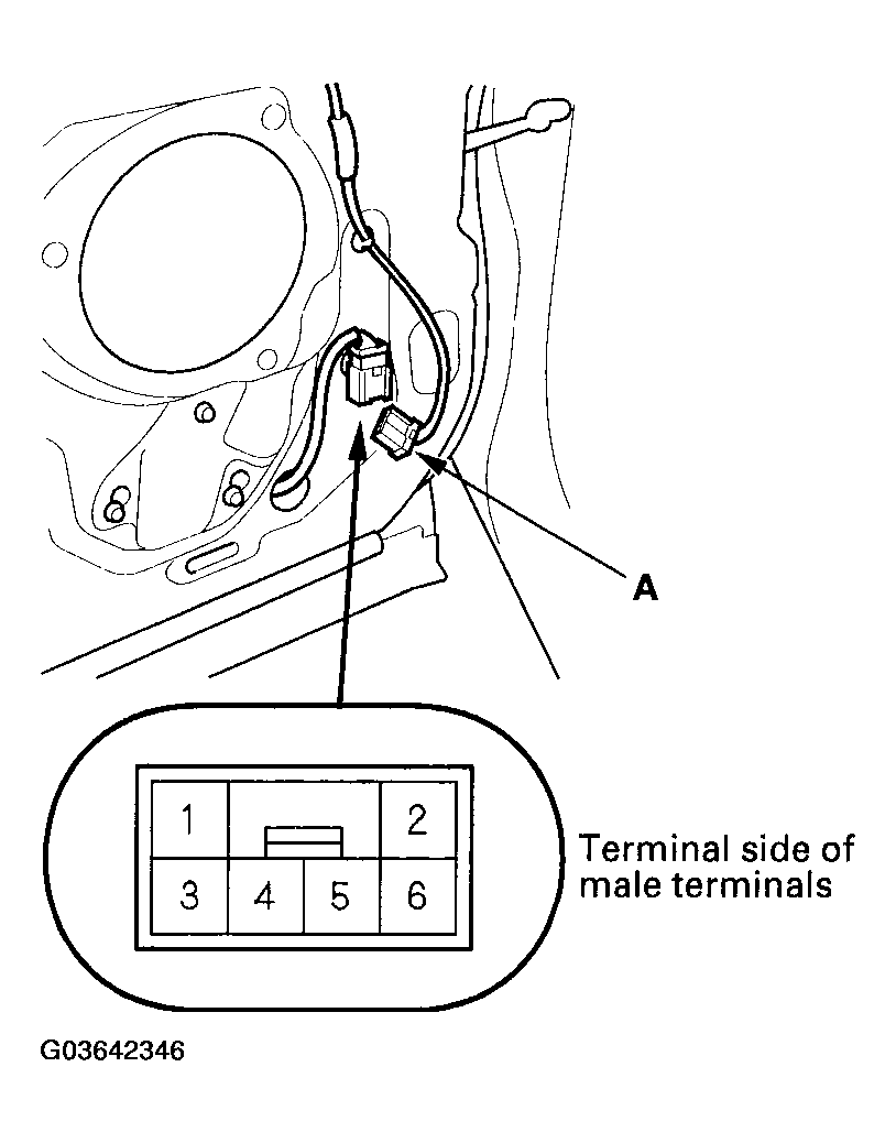 G03642346