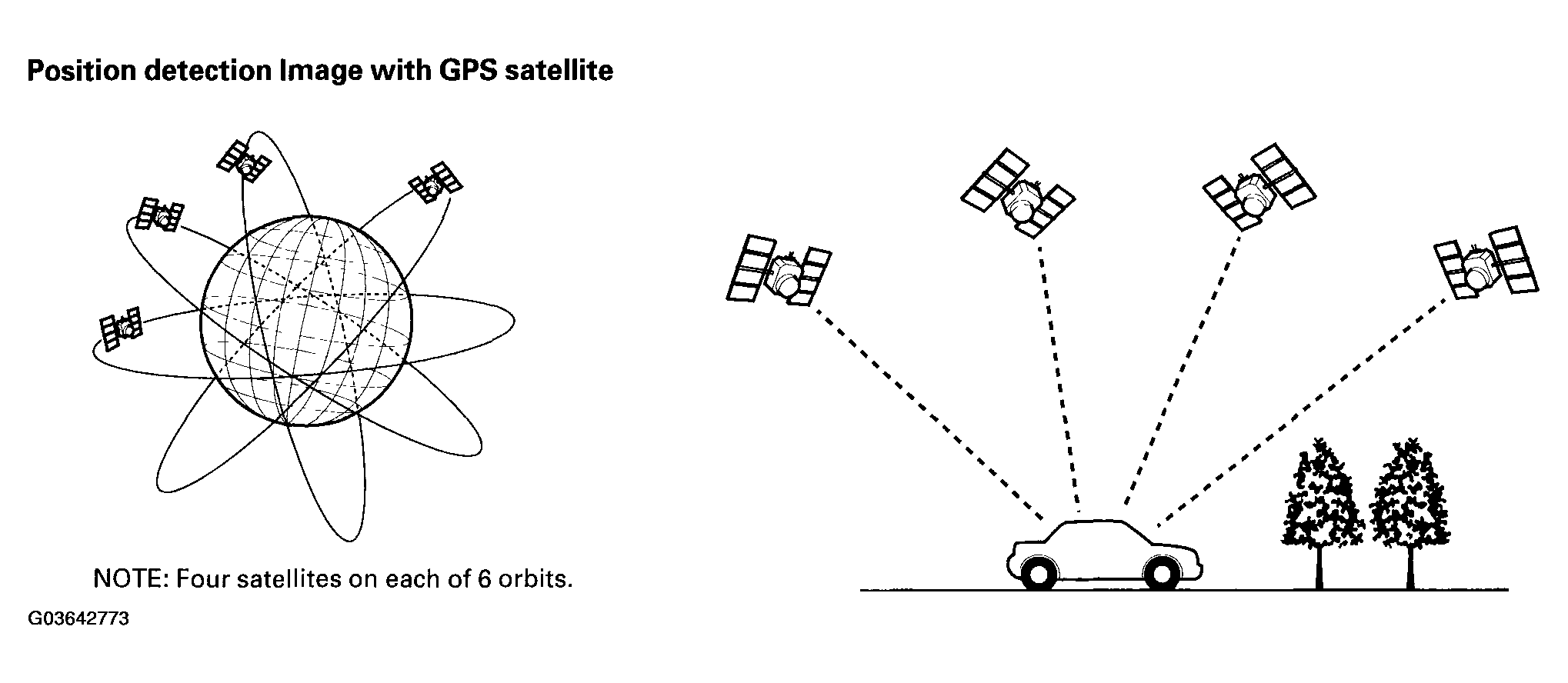G03642773