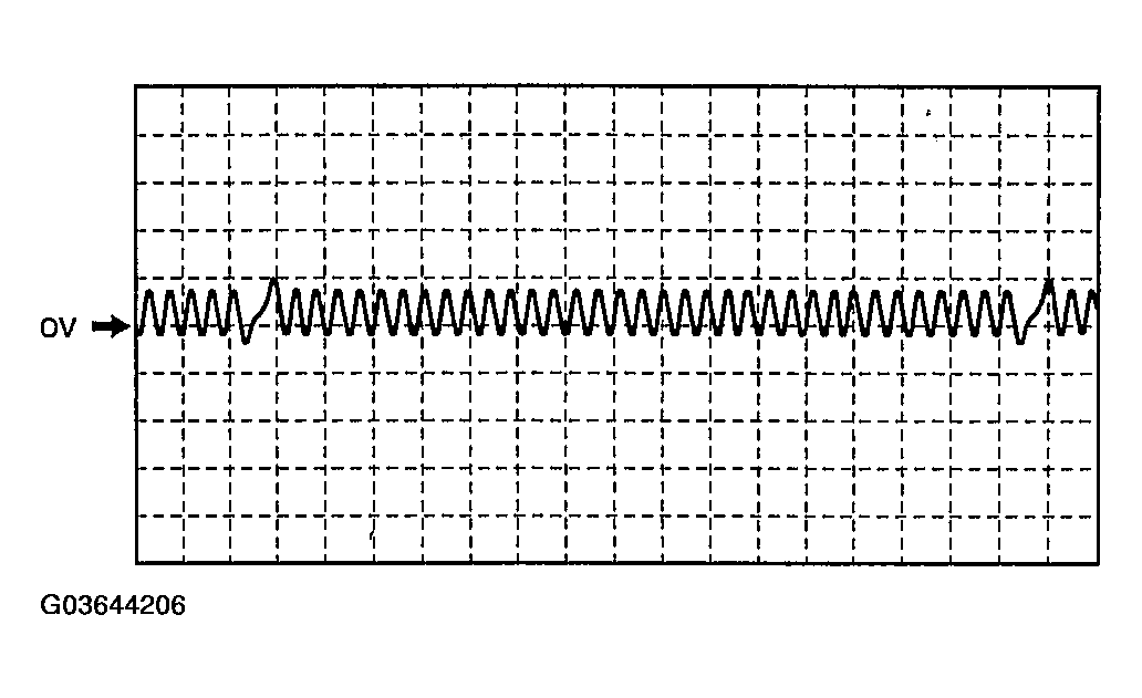 G03644206