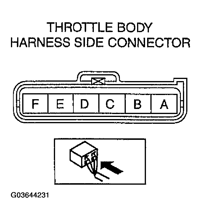 G03644231