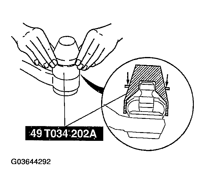 G03644292
