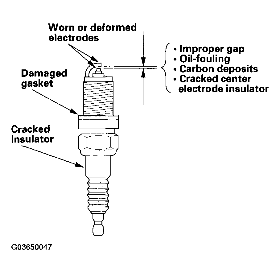 G03650047