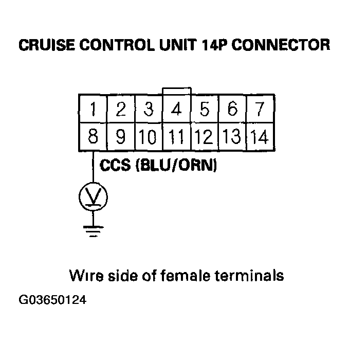 G03650124