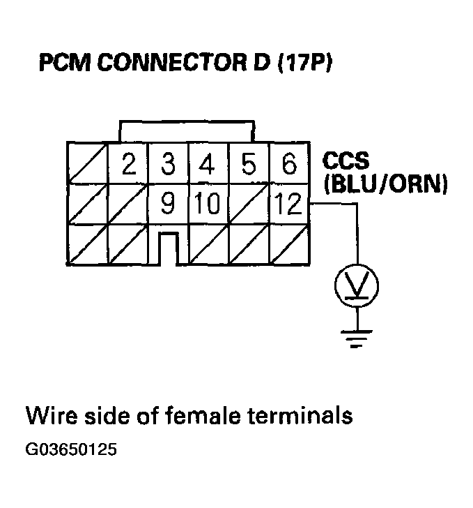 G03650125