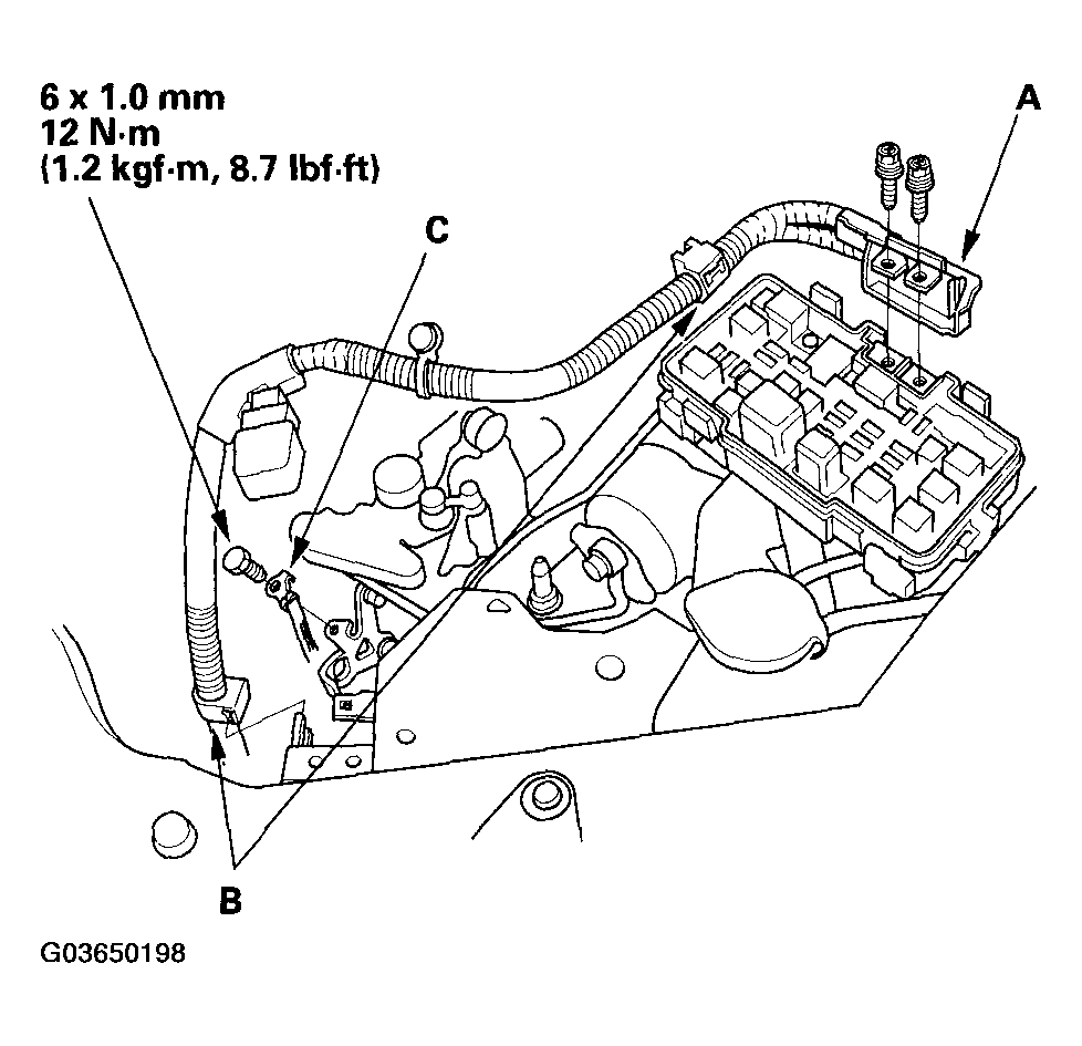 G03650198