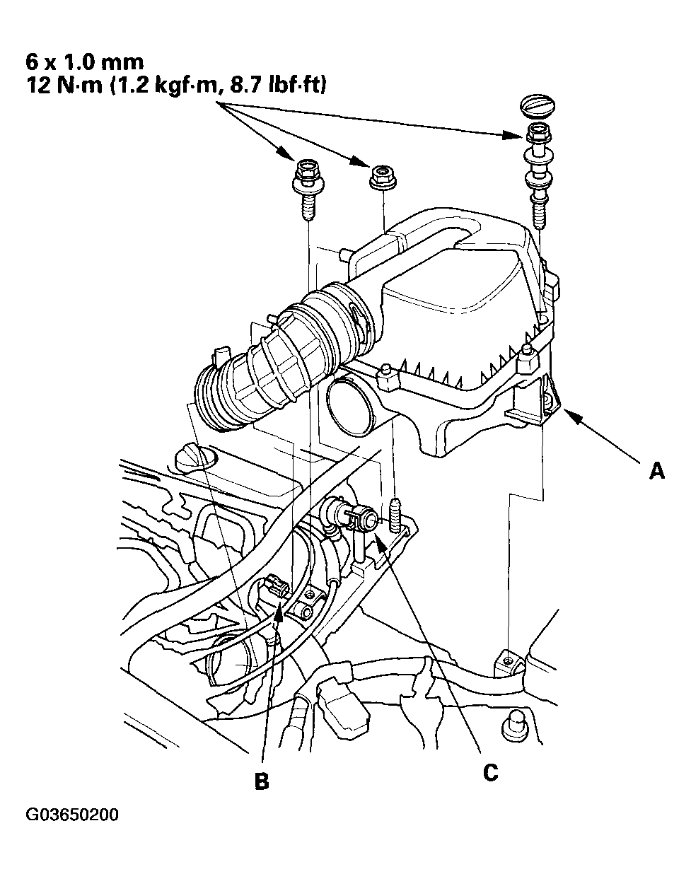 G03650200