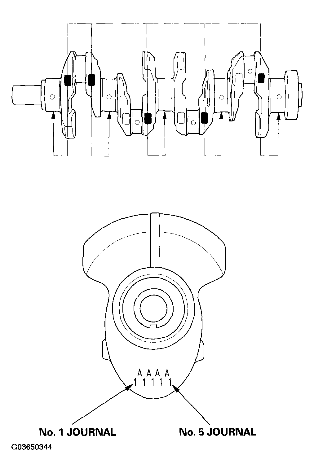 G03650344