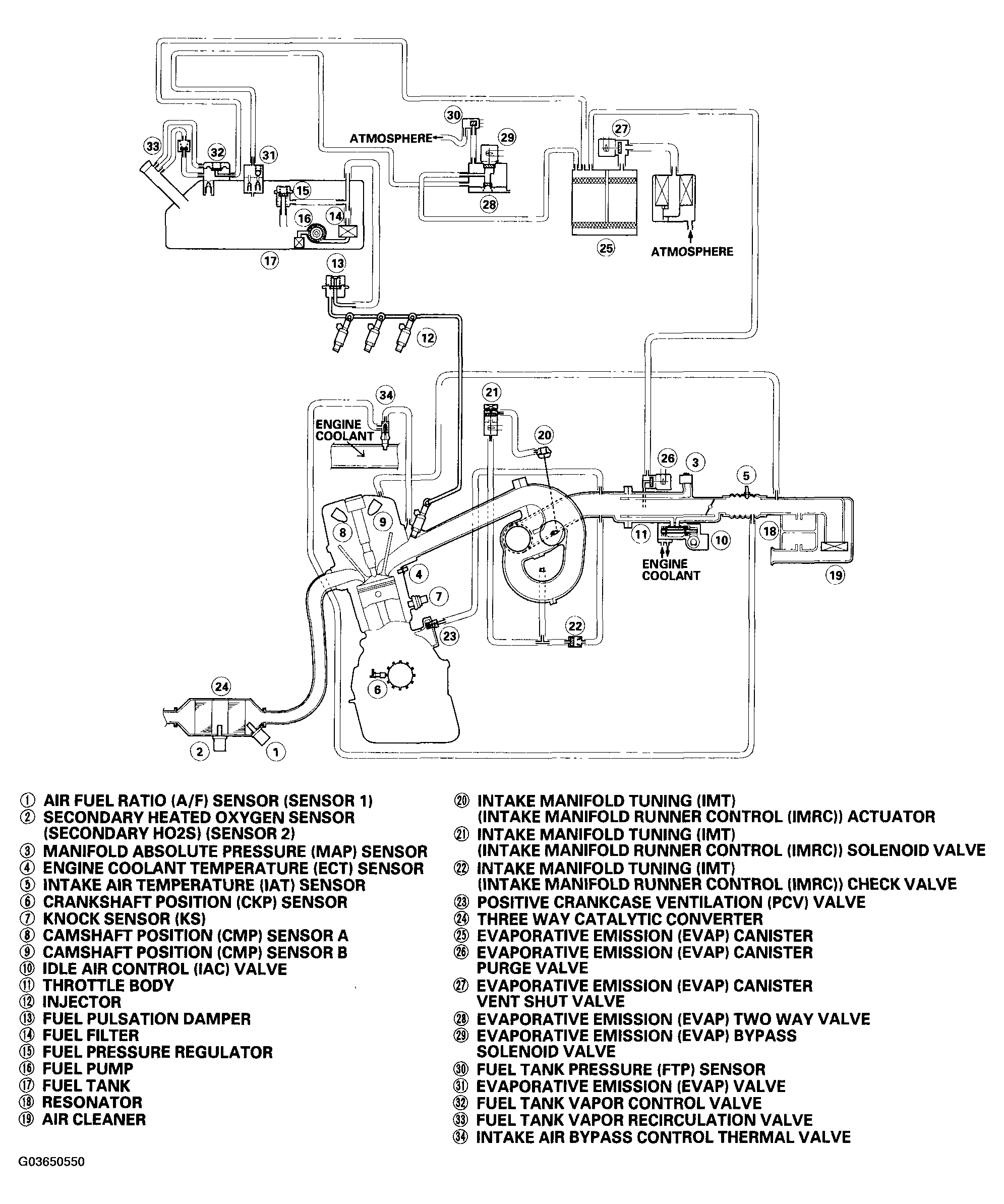 G03650550