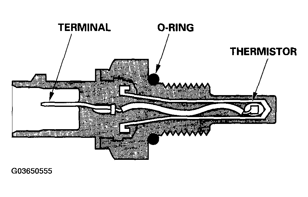 G03650555