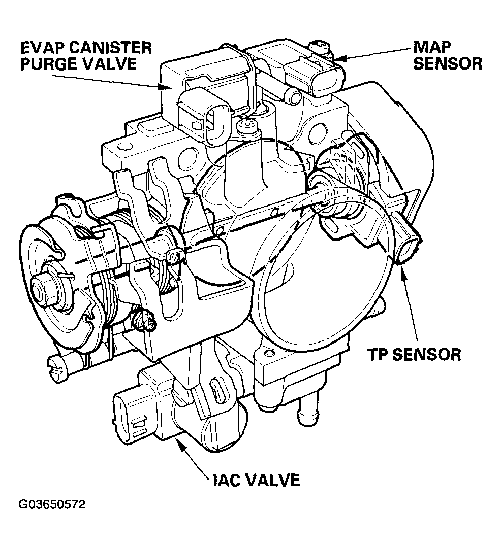G03650572