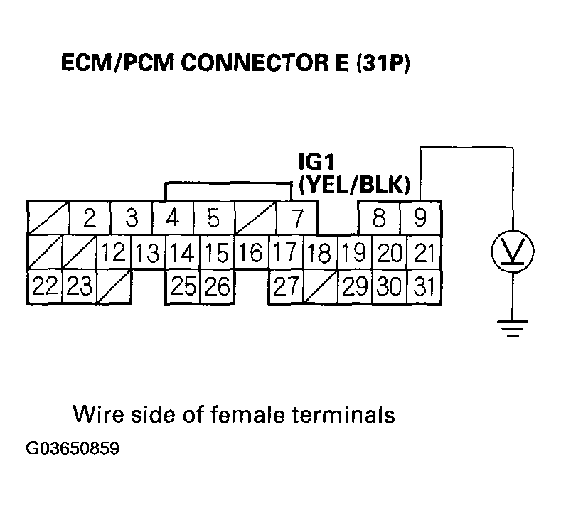 G03650859