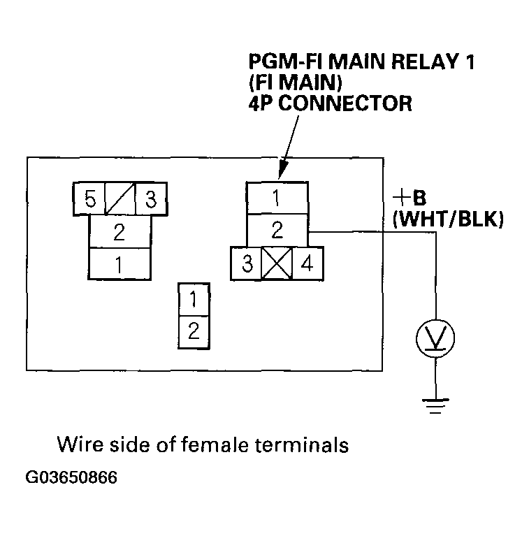 G03650866