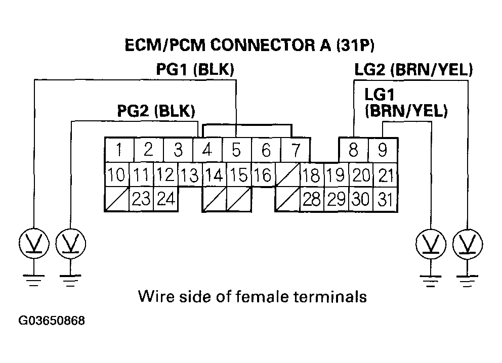 G03650868